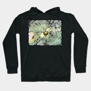 Spiny Backed Orbweaver Spider Hoodie